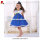 high quality blue prinet prinecess lovely dress